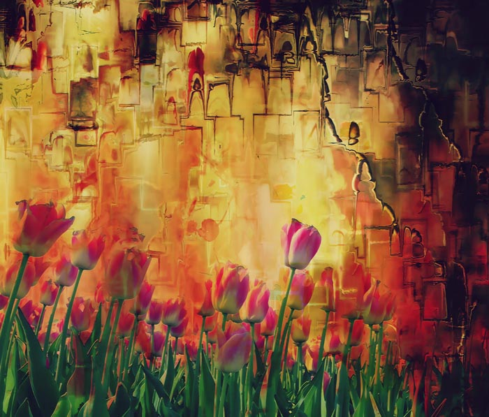 © Jean-Francois Dupuis - Tulips