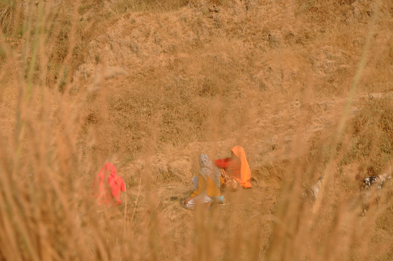 © Susheel Pandey - Colors, People and Desert