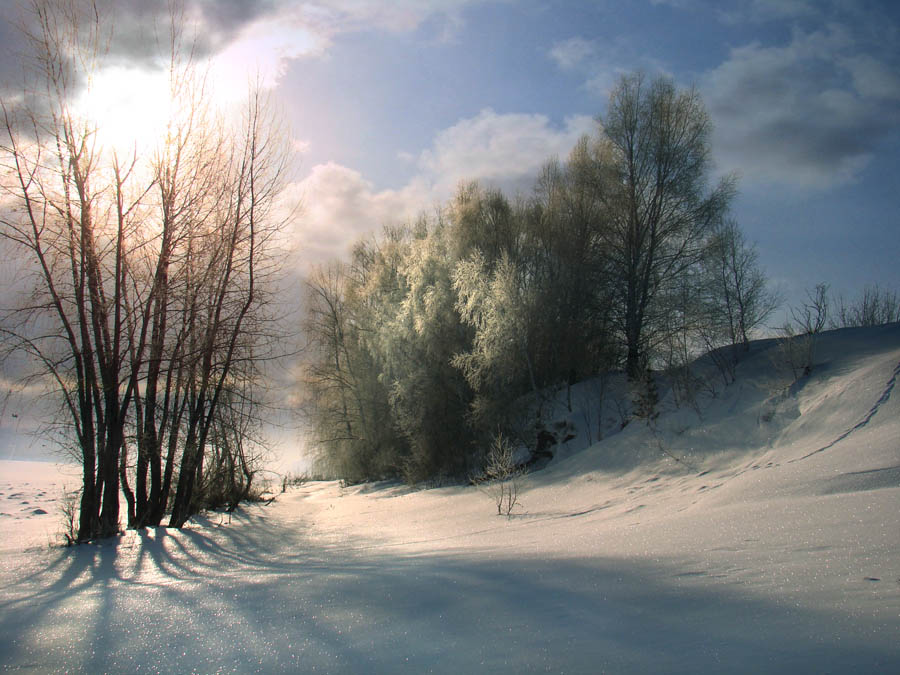 © Александр Шадраков - МОРОЗНЫЙ ДЕНЬ