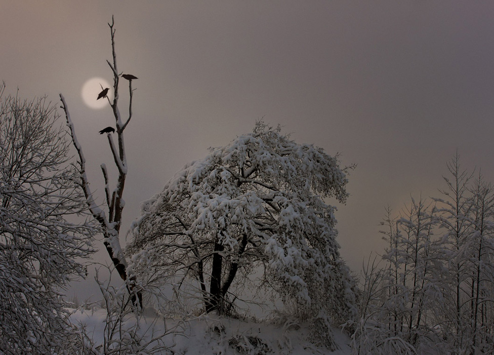 © Matvei BELYI - И я вернусь...когда про всё забуду...