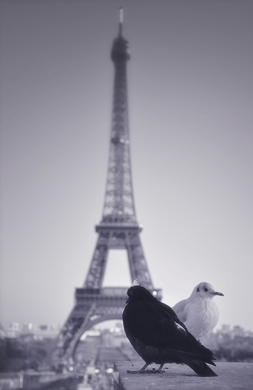 © Tudor Tudose - Paris - The City of Love