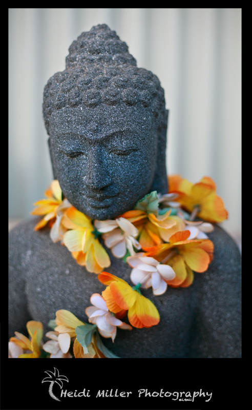 © Heidi Miller - Lei Buddha