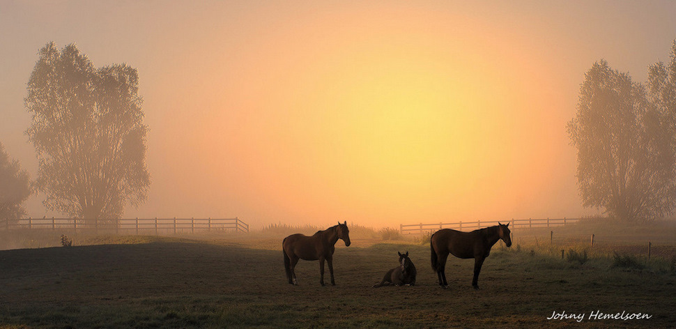 © johny hemelsoen - The colors of the morning.