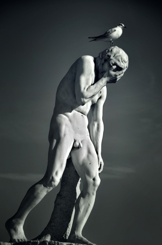 © Tudor Tudose - A statue in the Jardin des Tuileries in Paris