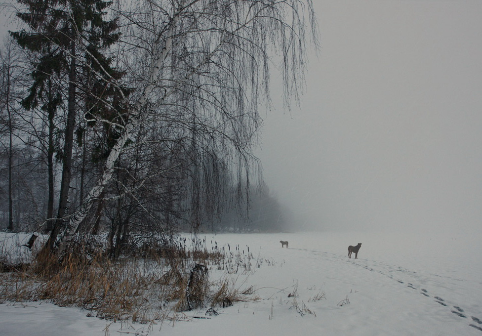 © Matvei BELYI - На перепутье ожиданья лучшей доли...