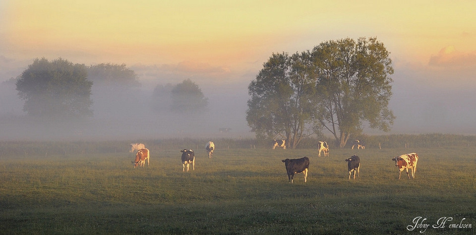 © johny hemelsoen - The colors of a summer morning.