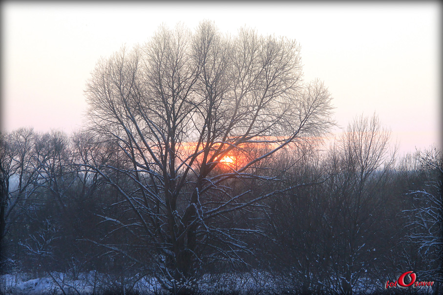 © Fotosaver - Russian winter