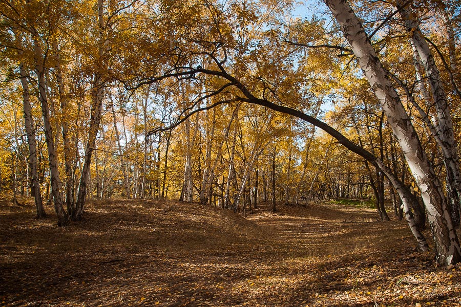 © Dmitriy Leontyev - autumn mood (осенние настроение)