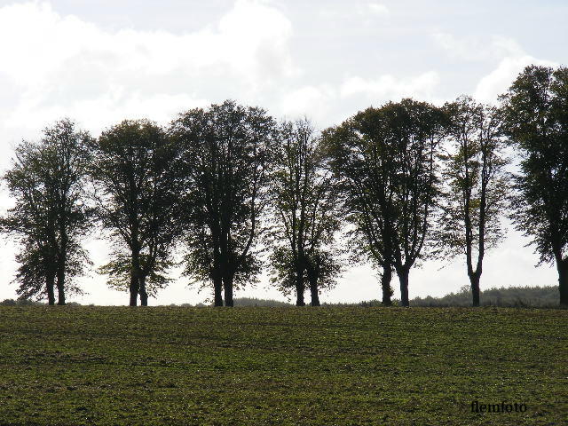 © flemming rasmussen - Landscape