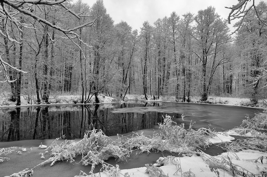 © Denis Chavkin - first snow