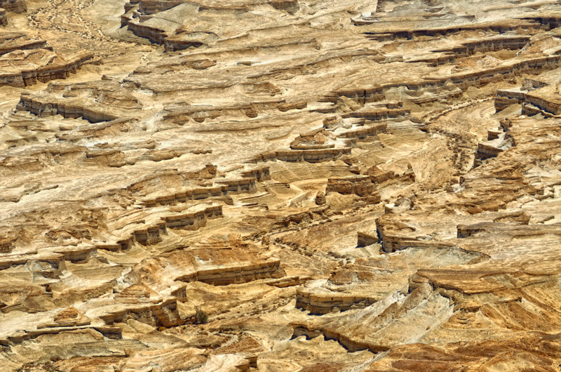 © Leonid Spektor - Judea Desert, Israel.