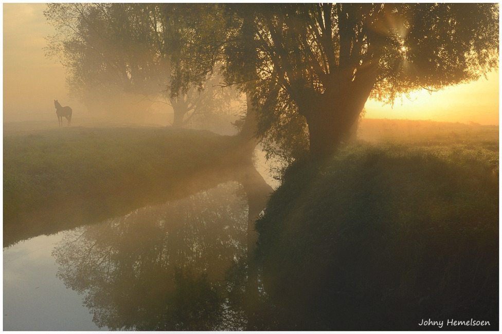 © johny hemelsoen - Fogy morning.