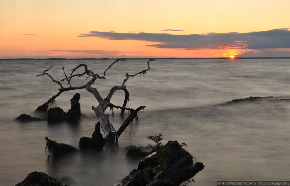 © Zhenia Zagorodniy - Sunset in the wild world