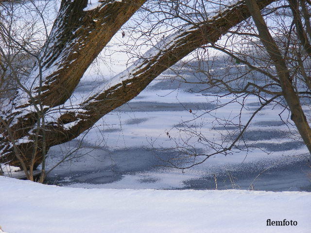 © flemming rasmussen - Winterday