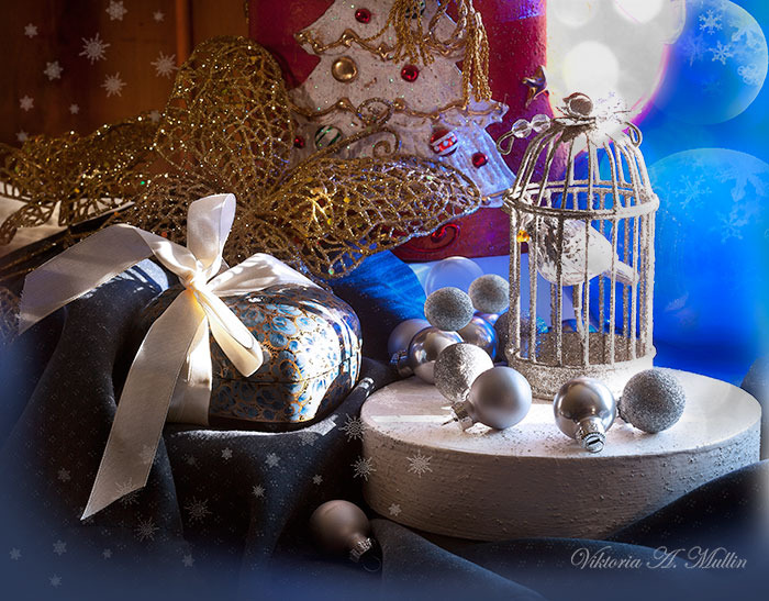 © Viktoria Mullin - Let Your Dreams Come True in New Year!_8960