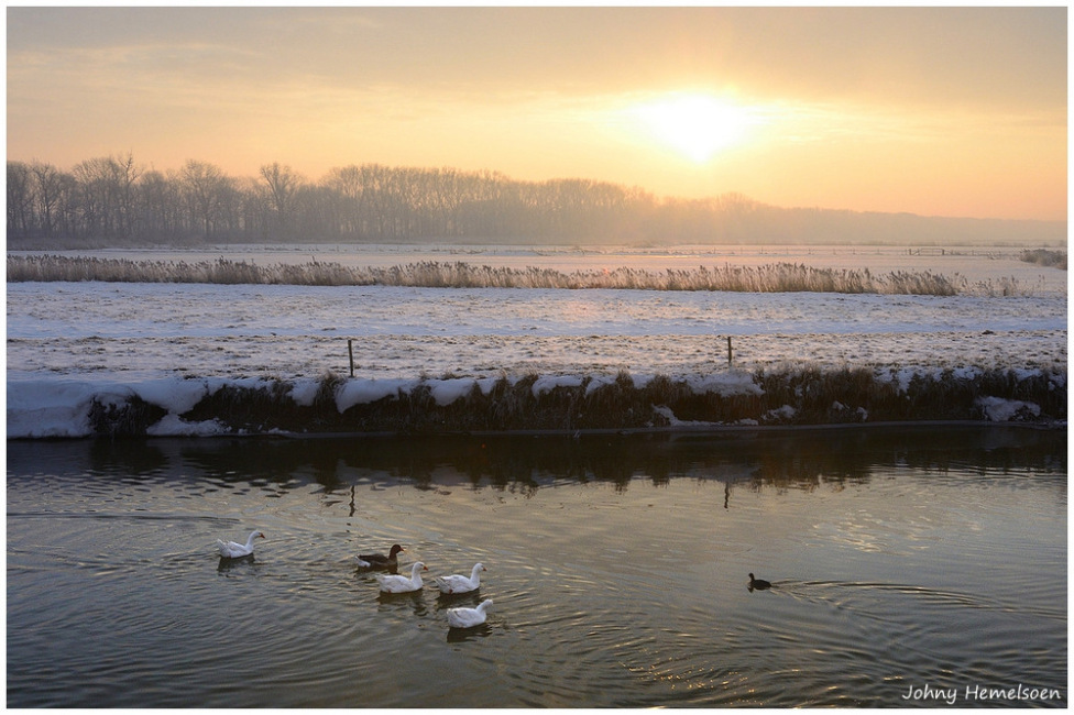 © johny hemelsoen - A winter morning.