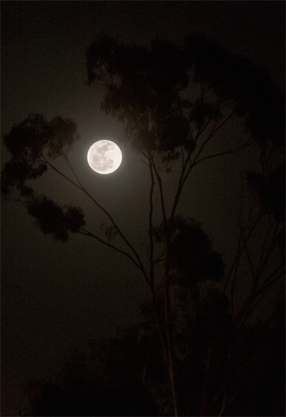 © Hayk Shalunts - Full moon