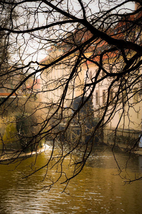 © Maria Zak - La tristesse sur la Vltava