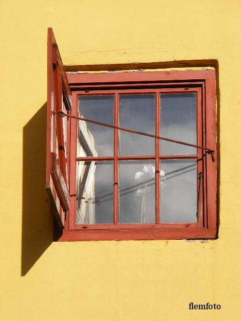 © flemming rasmussen - Window