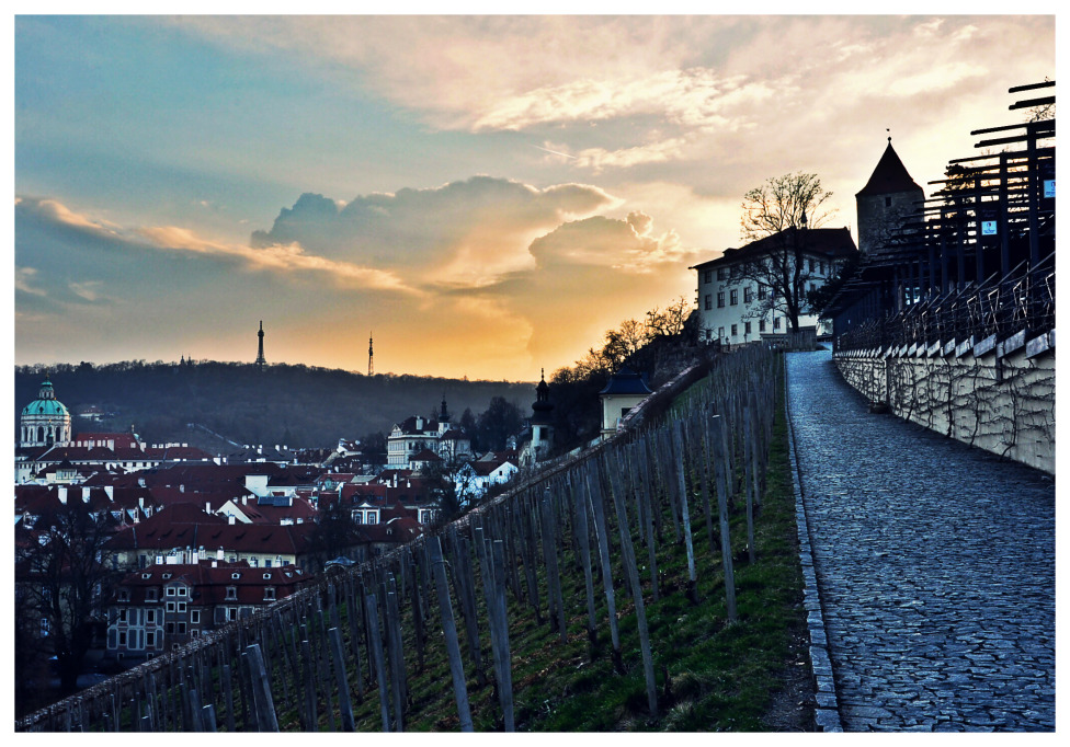 © Maria Zak - Mystic evening in Prague