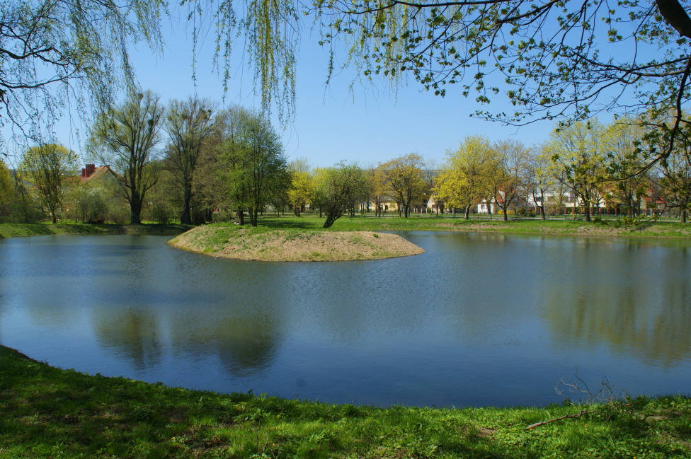 © Jerzy Hermanowicz - spring - Gdansk - Poland