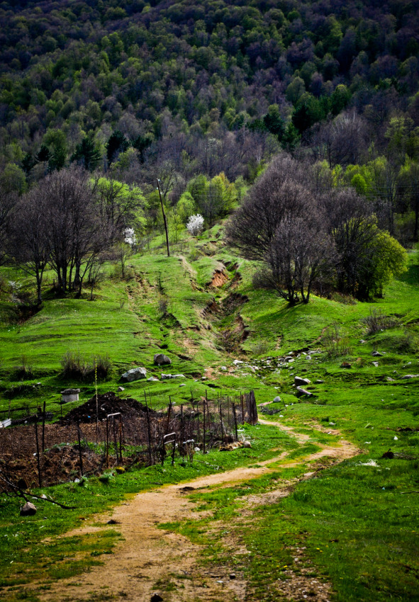 © Maria Zak - Mountains