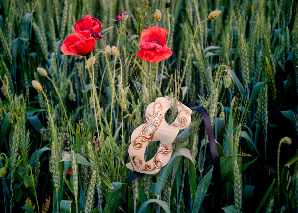 © Virginia Radulescu - chanson du coquelicots