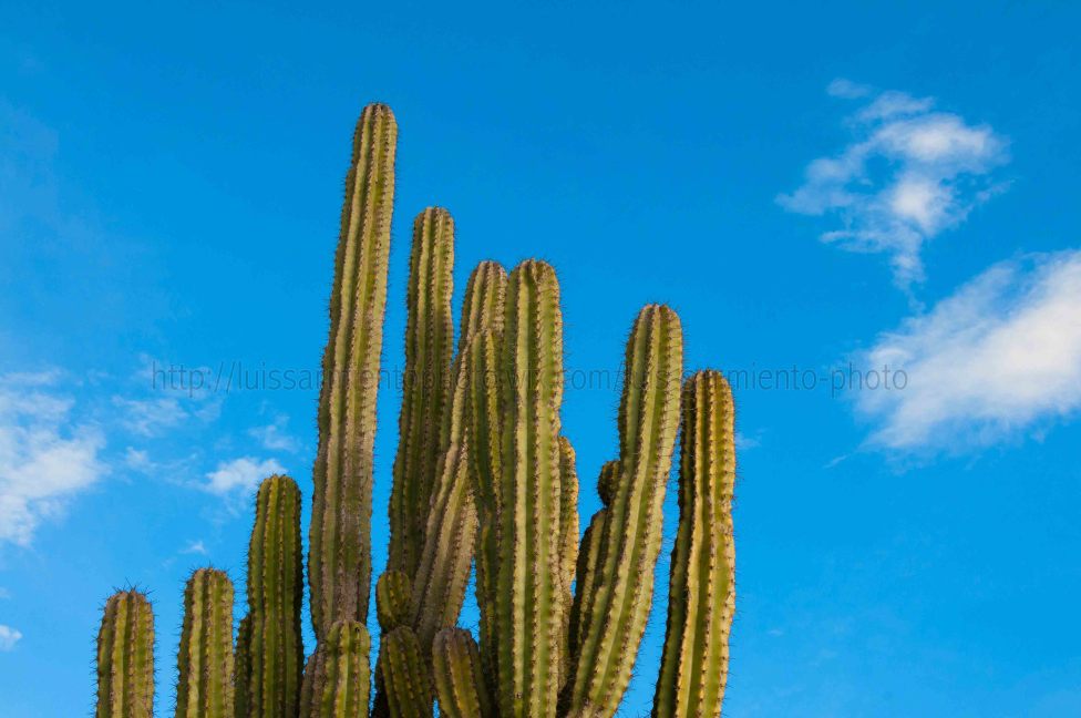 © Luis Sarmiento - Desierto de la Tatacoa- Huila, Colombia