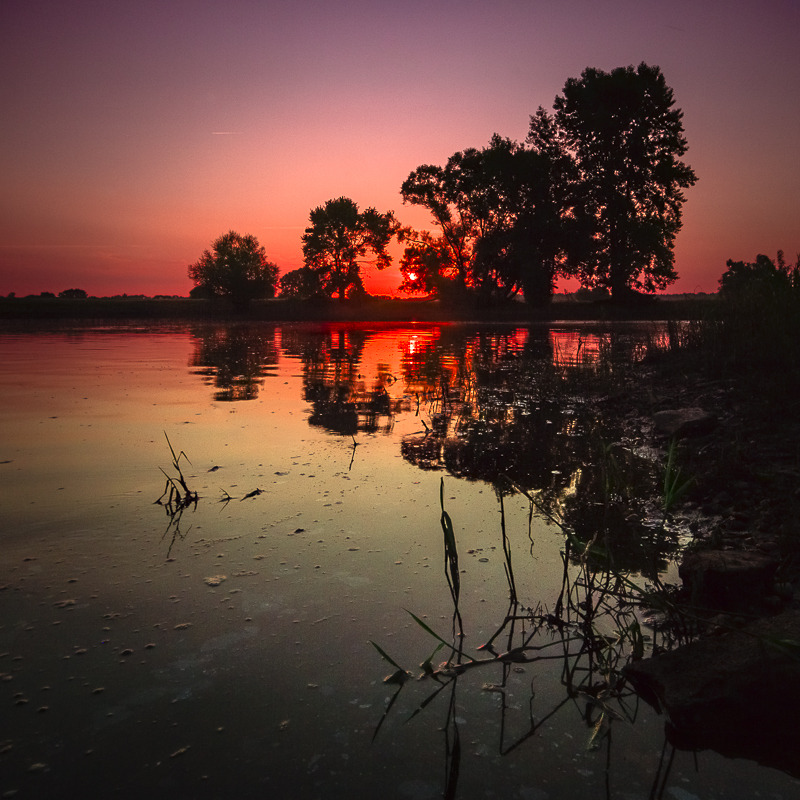 © Maximilian Buckup - Утро на берегу Эльбы...