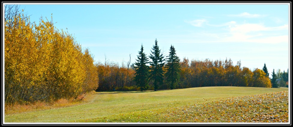 © Slava Averbakh - Golden Autumn Canada