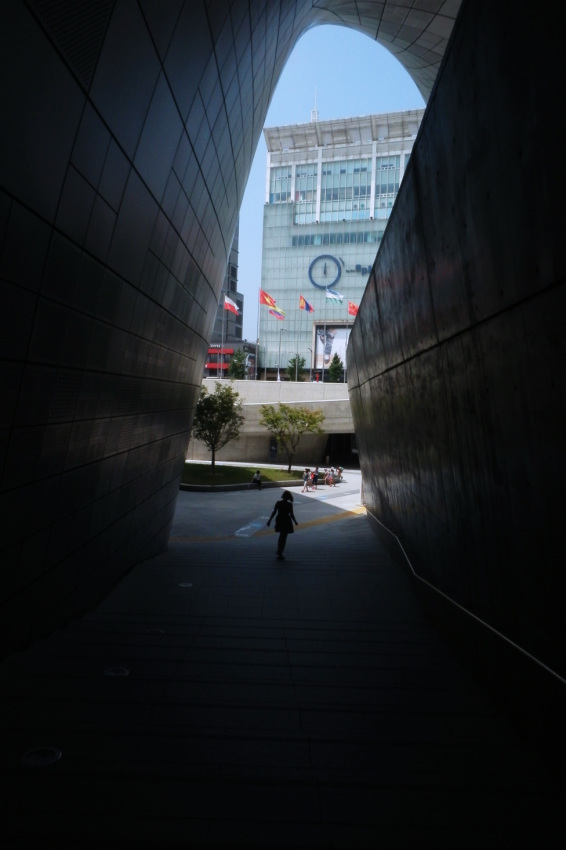 © Dmitry Korzhikov - Dongdaemun silhouette