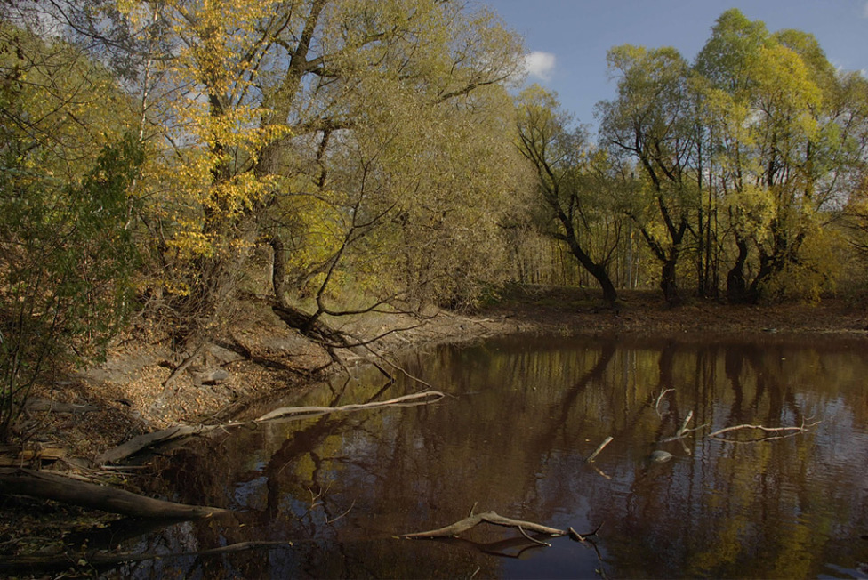 © Владимир Ермаков - Осенний уголок.