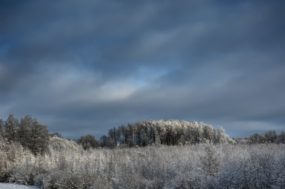 © Rimantas Bikulčius - Winter Etudes