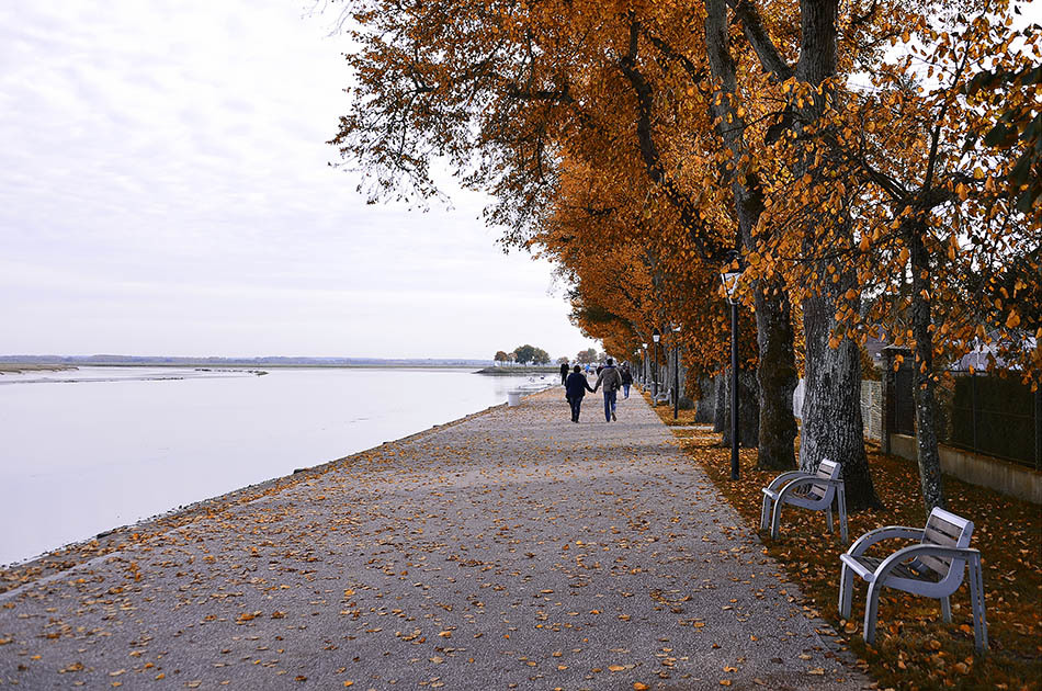 © Svein Wiiger Olsen - Autumn in St. Valerie s/ Somme