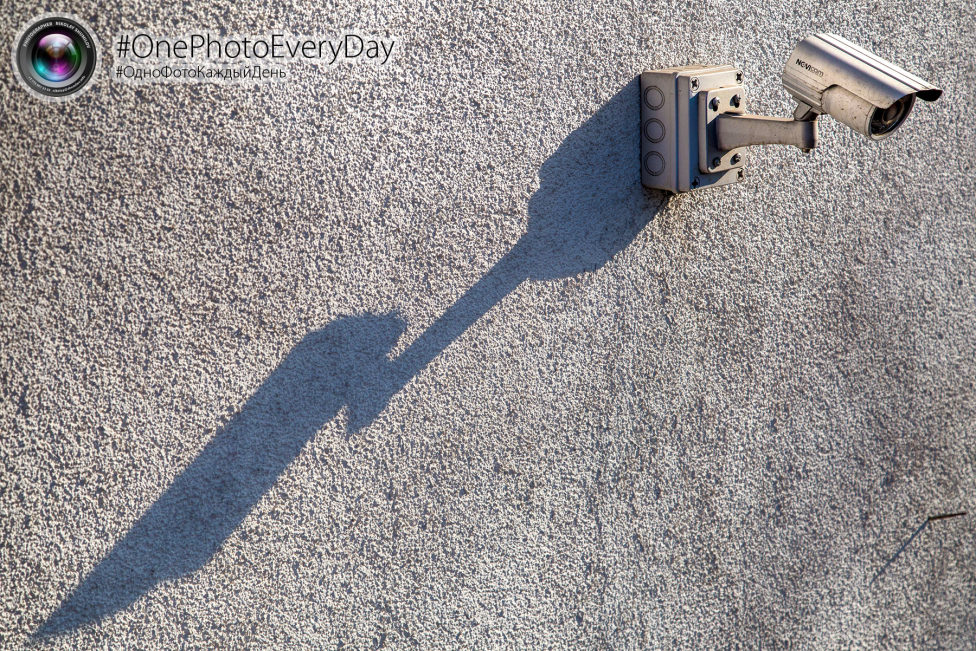 © Nikolay Shumilov - observation over supervising