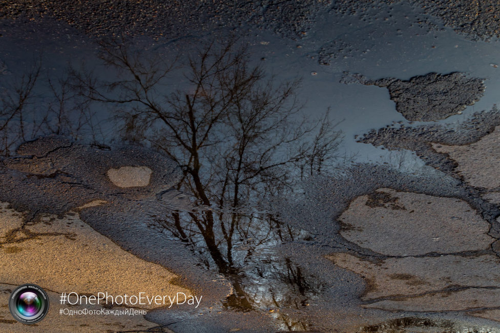 © Nikolay Shumilov - ¿Spring?