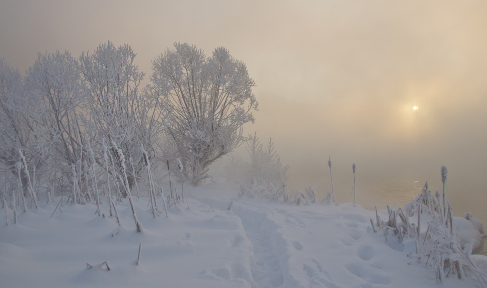 © Михаил Агеев - На озере Горячка