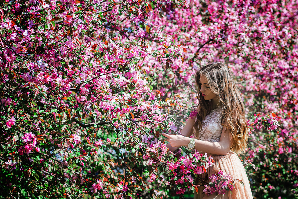 © Dasha Tapesh - Pink spring