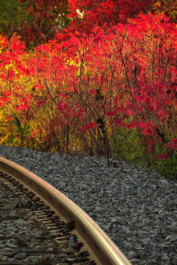 © Jean-Francois Dupuis - Railway