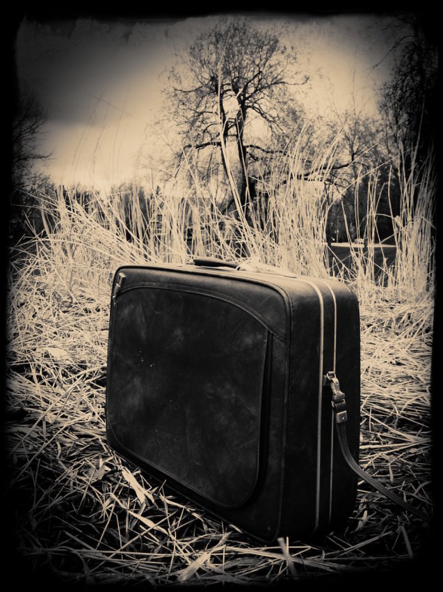 © Jean-Francois Dupuis - Suitcase