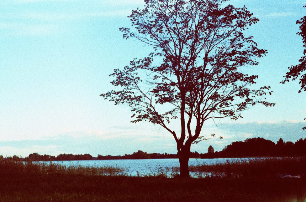 © Zen Snake - Karelian Lake