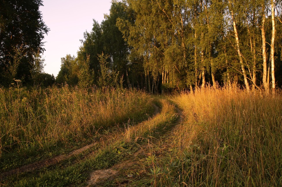 © Борис Баринов - Дорожка утра